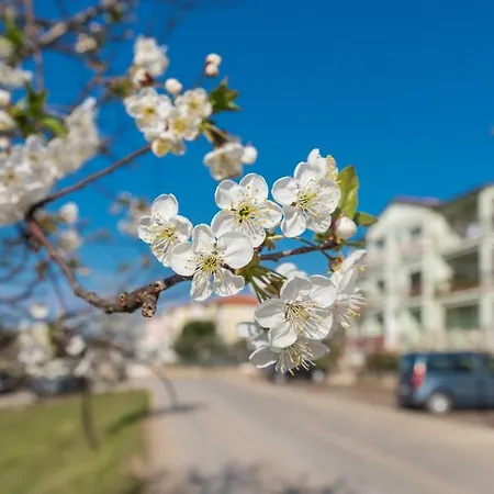 Miro Appartement Tar-Vabriga