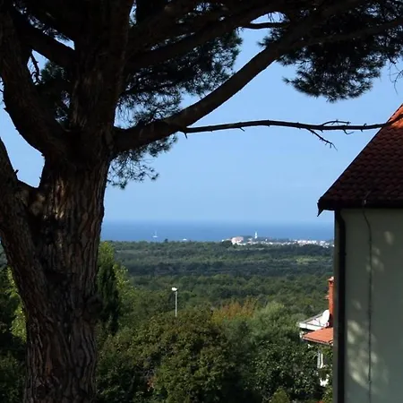 Apartment Miro Tar-Vabriga